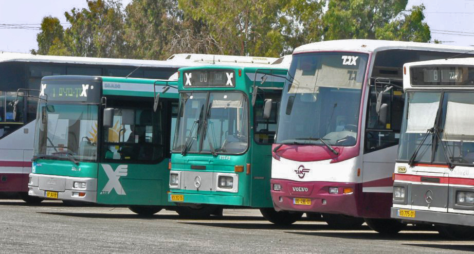 Buses02